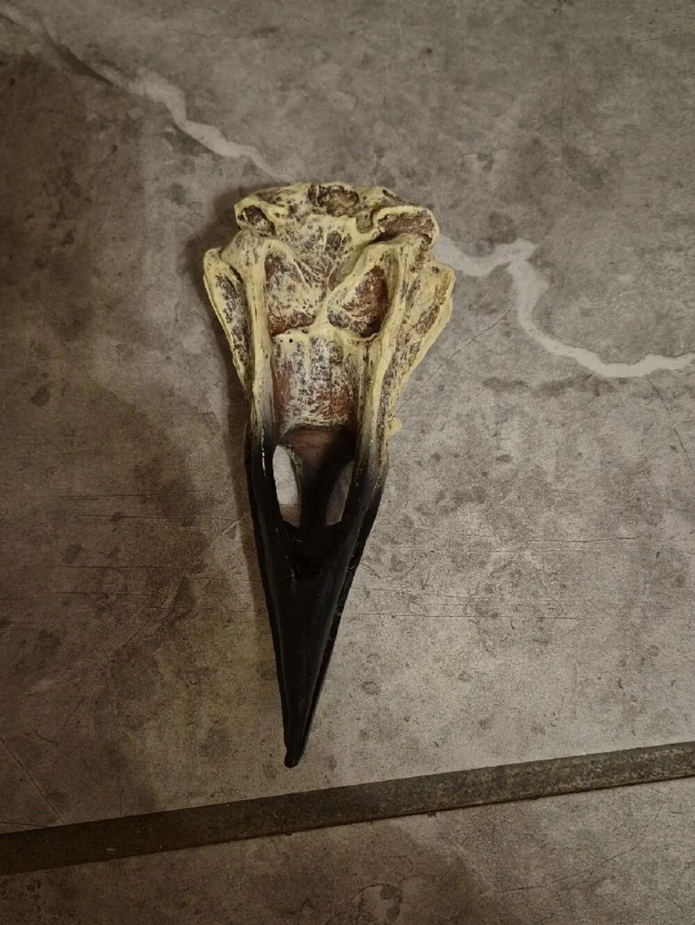 Decorative Raven Skull Prop Resin